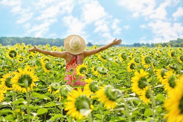 Celebrating in a field of sunflowers