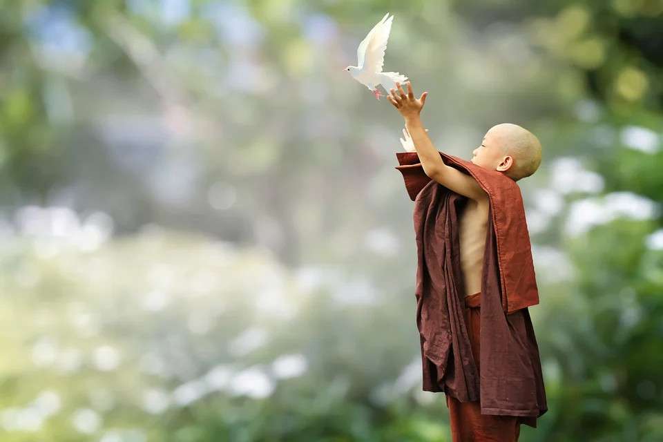 A young monk releases a dove in the middle of the forest.