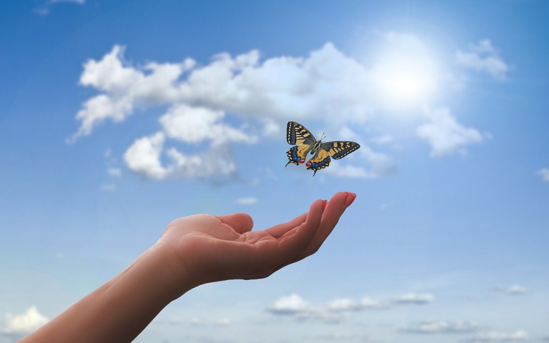 Letting a butterfly land in your hand.