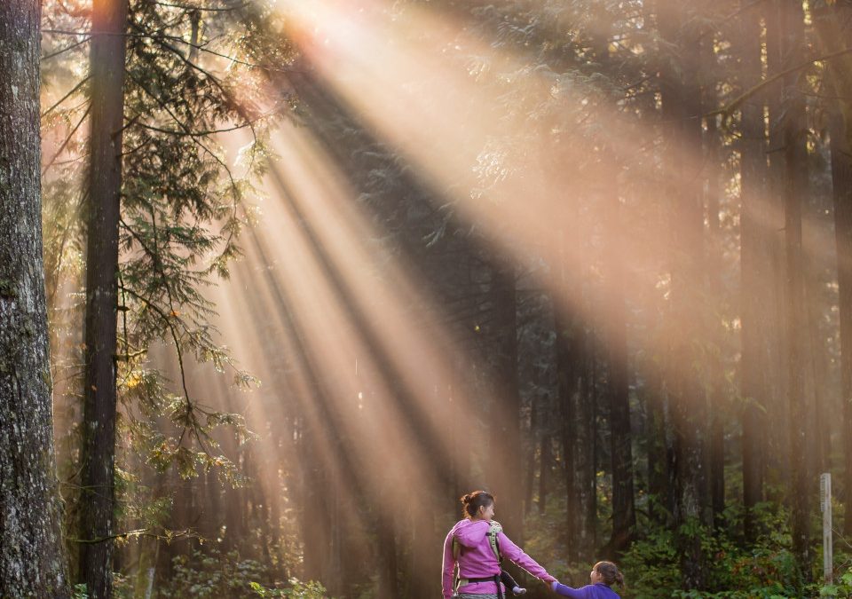 Child and angel walking a forest path.