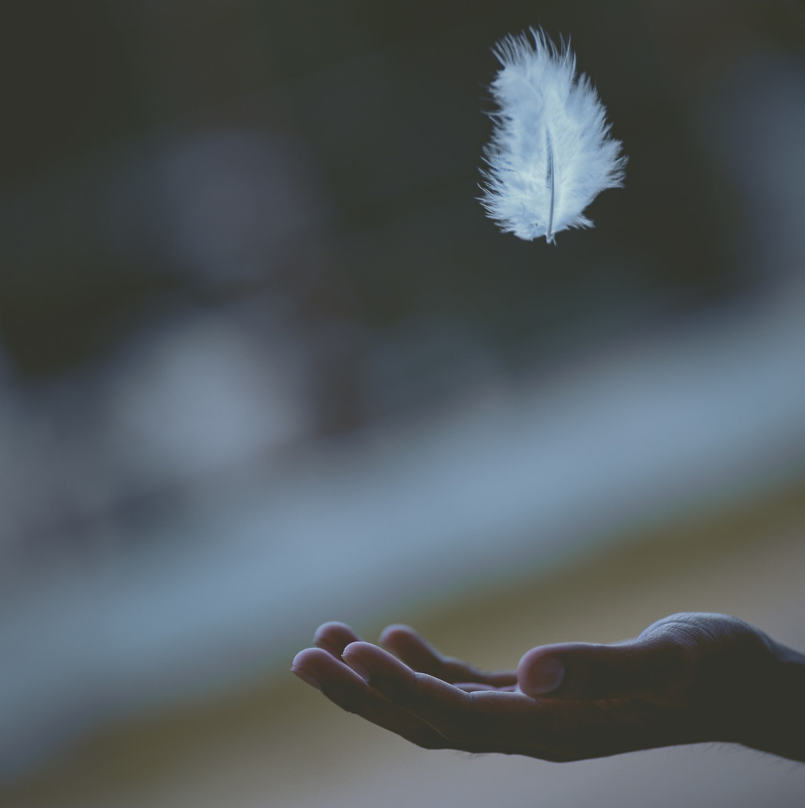 Catching a feather in an outstretched hand.