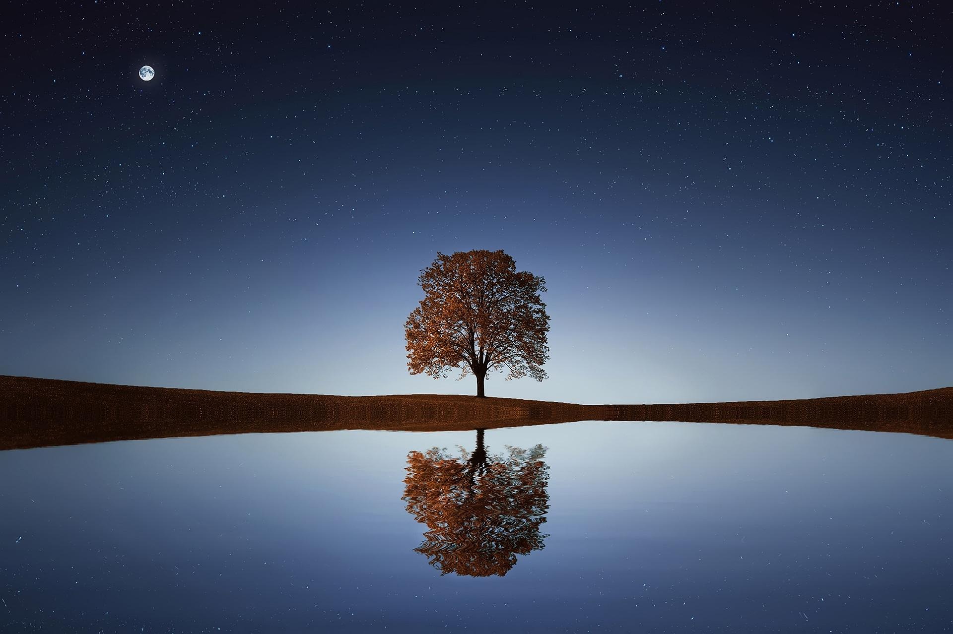 202608_stillness_bessi-tree The moon, a single tree by a lake and the light at dusk.