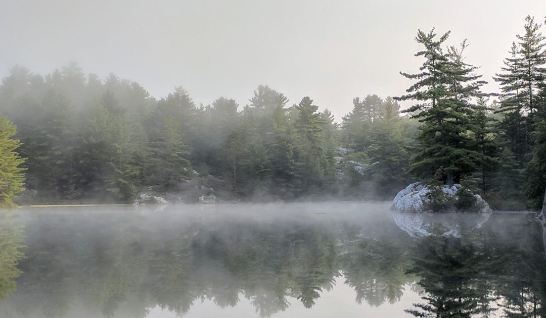 STILLNESS