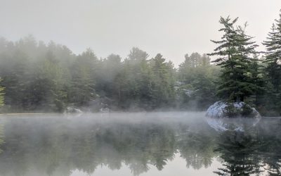 STILLNESS