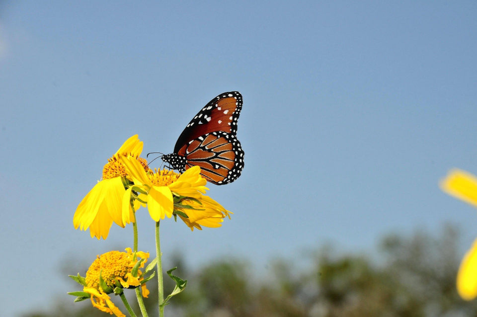 202610_compatible_natureharmonygivetake_scale